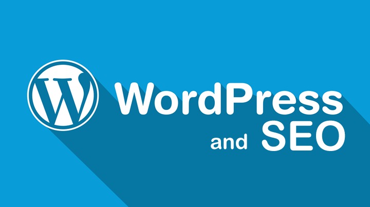 Wordpress SEO Agency 
